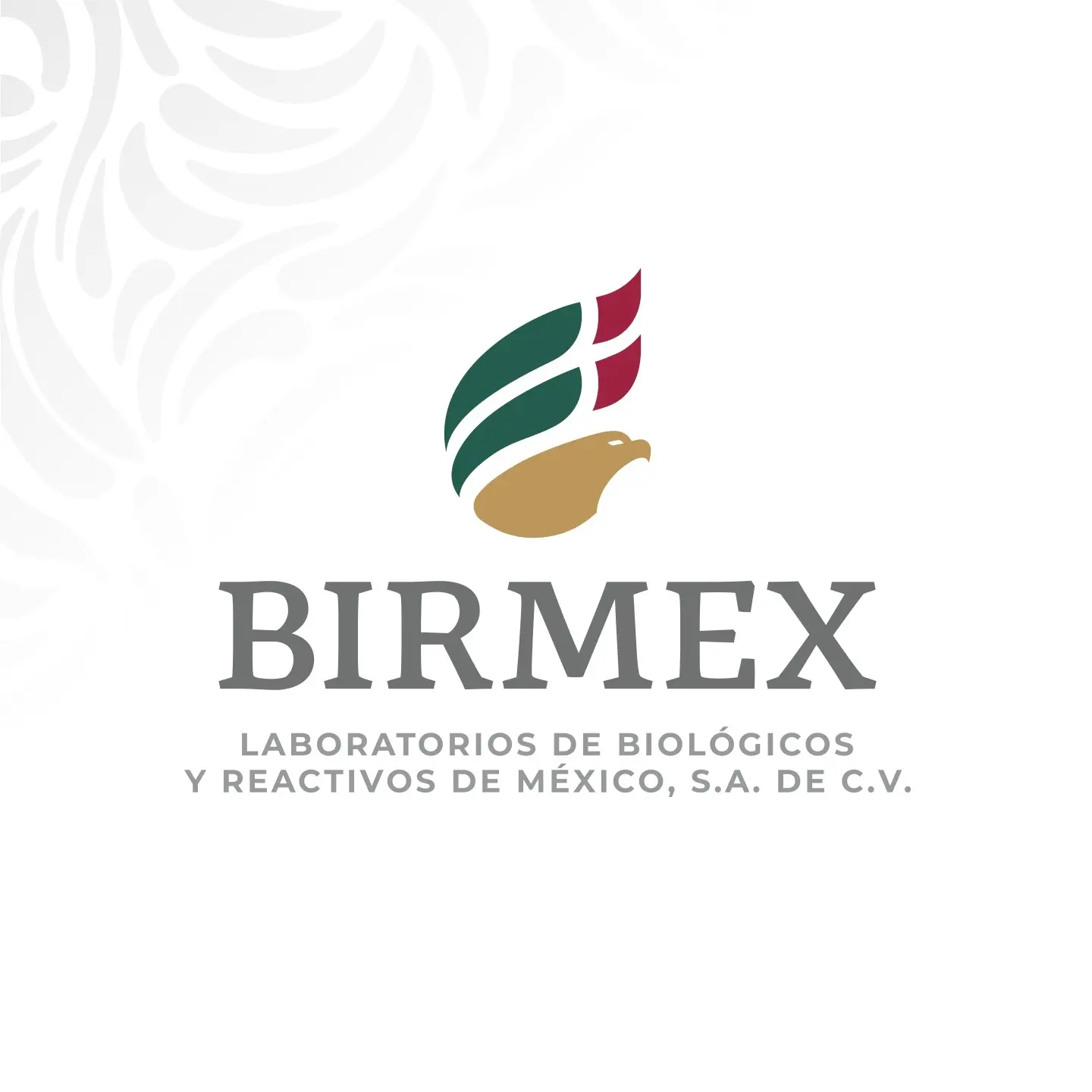 Logo de BIRMEX